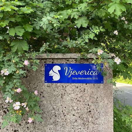 Apartments Vjeverica Zelin Mrzlovodicki Kültér fotó