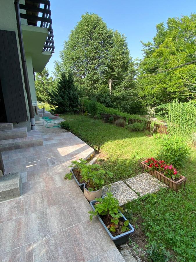 Apartments Vjeverica Zelin Mrzlovodicki Kültér fotó