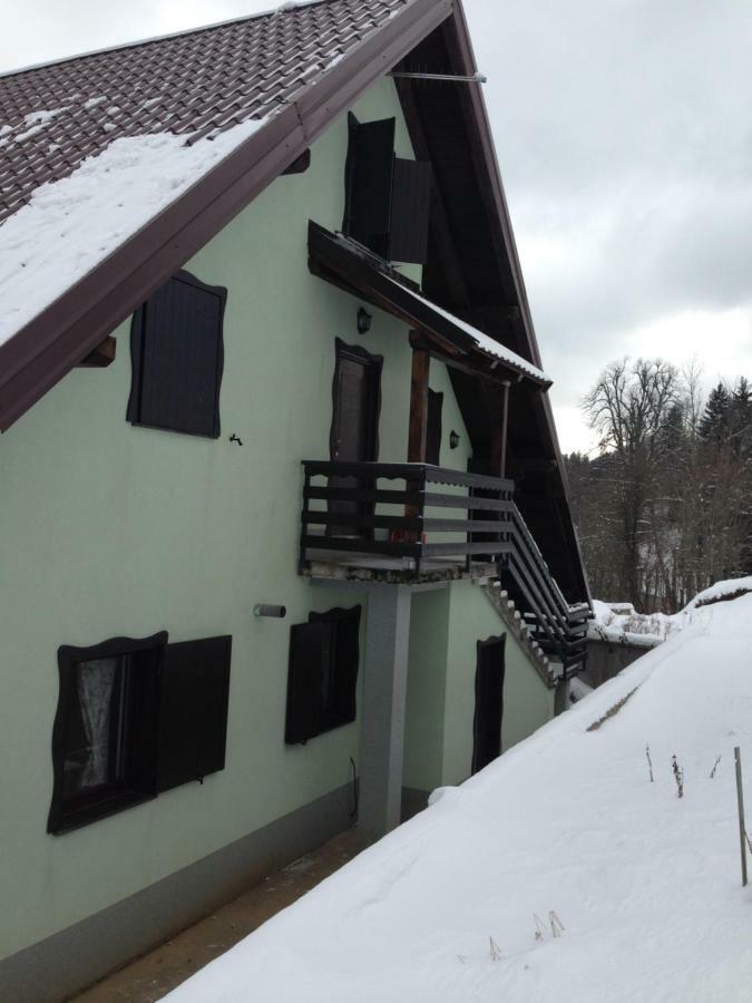 Apartments Vjeverica Zelin Mrzlovodicki Kültér fotó