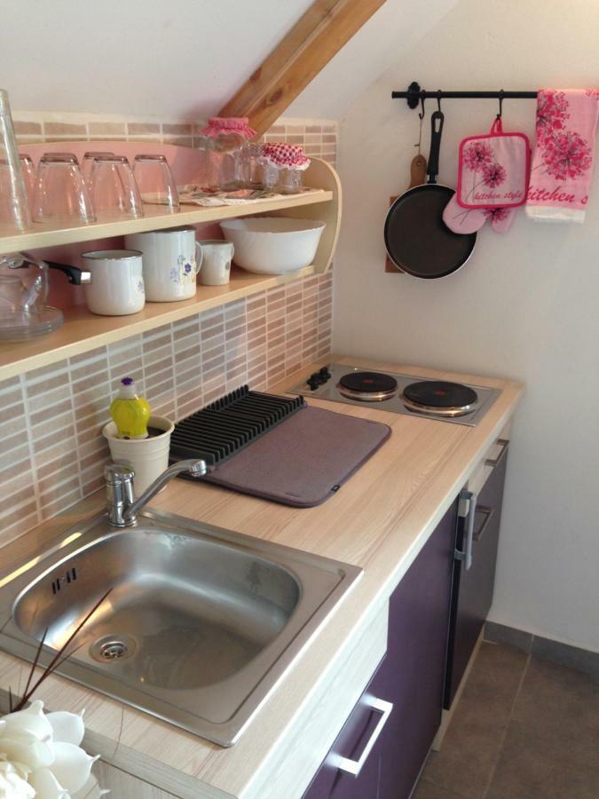 Apartments Vjeverica Zelin Mrzlovodicki Kültér fotó