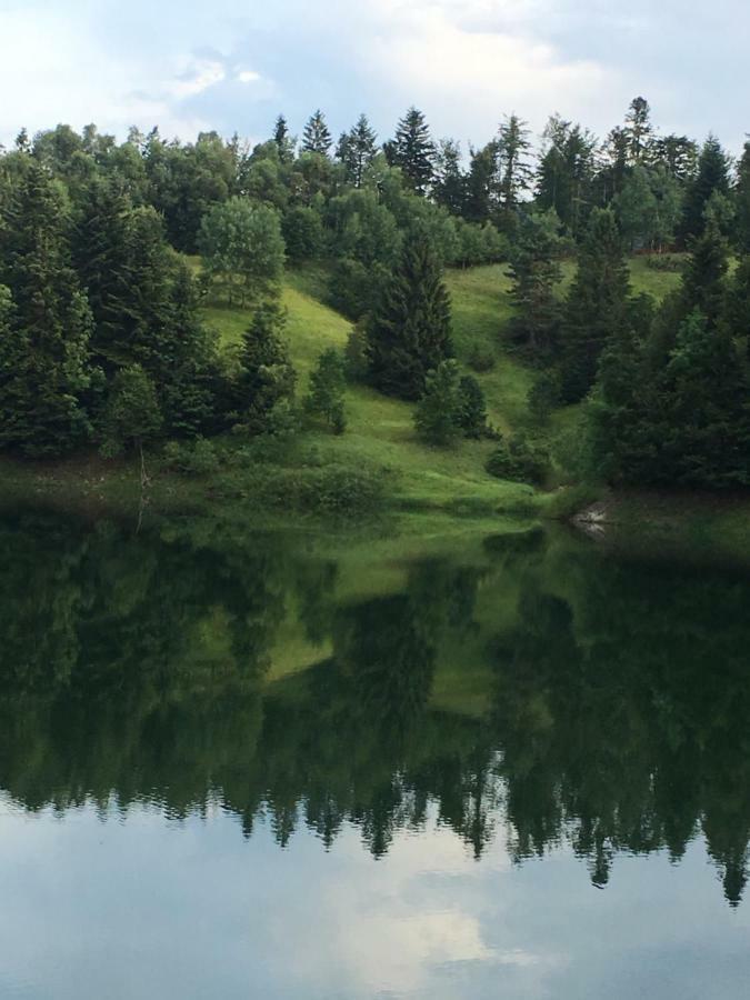 Apartments Vjeverica Zelin Mrzlovodicki Kültér fotó